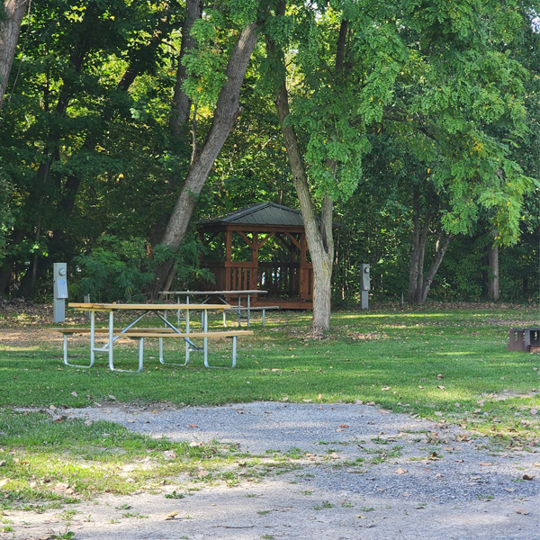 Gazeebo-1